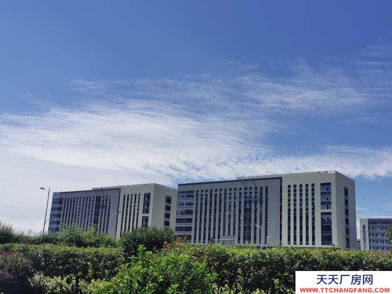 溫江醫藥廠房現房出租，政府租金優惠扶持