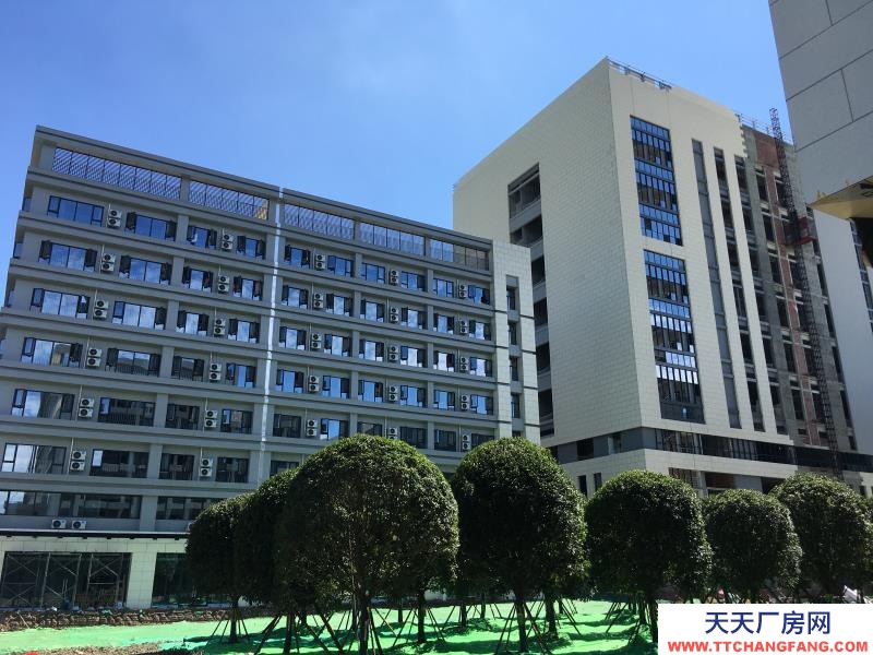 溫江醫藥廠房現房出租，政府租金優惠扶持