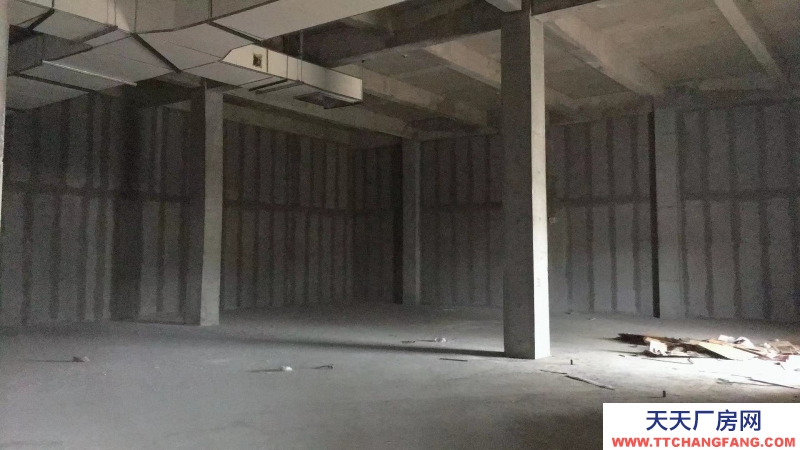 溫江醫藥廠房現房出租，政府租金優惠扶持