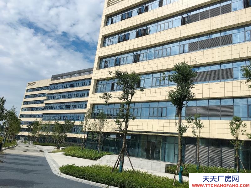 溫江醫藥廠房現房出租，政府租金優惠扶持