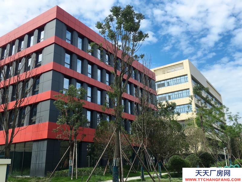 溫江醫藥廠房現房出租，政府租金優惠扶持