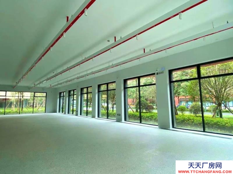 溫江醫藥廠房現房出租，政府租金優惠扶持