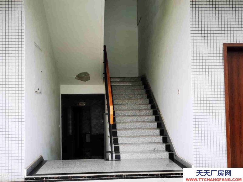 雙流調味品食品廠房出租