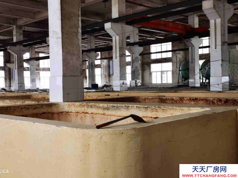 雙流調味品食品廠房出租