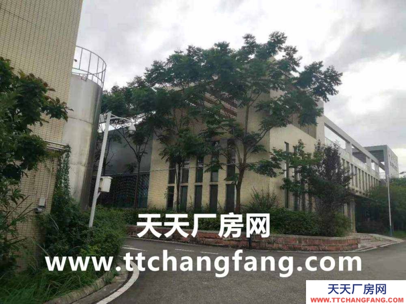 金堂食品廠房出租，金堂食品車間出租