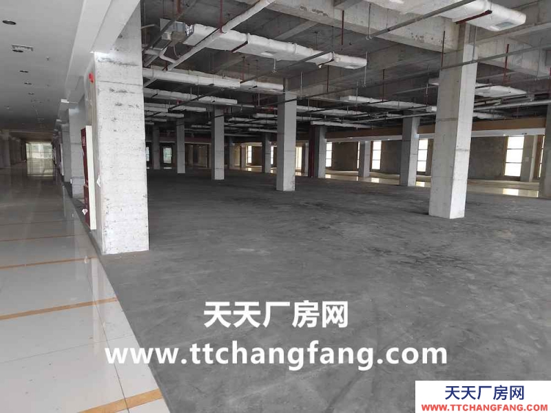 新都中央廚房食品廠房出租面積2000平米起分