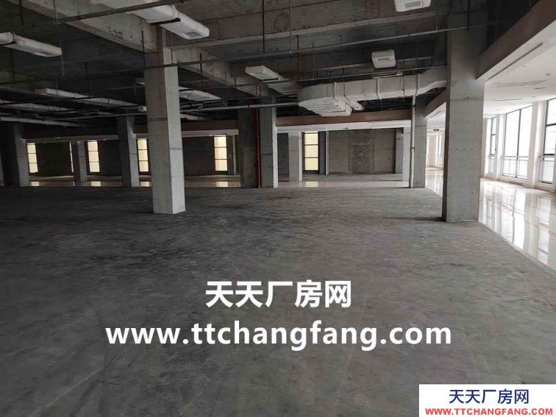 新都中央廚房食品廠房出租面積2000平米起分