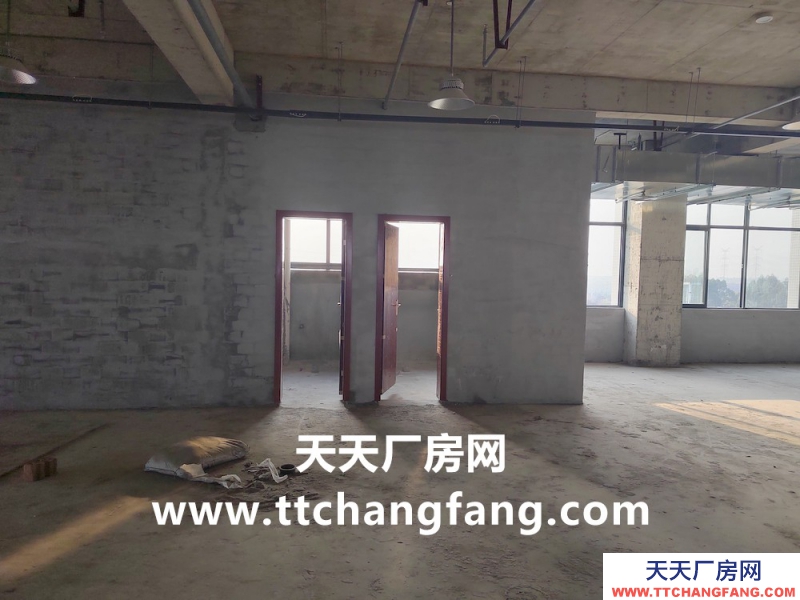 溫江全新食品標(biāo)準(zhǔn)廠房出租