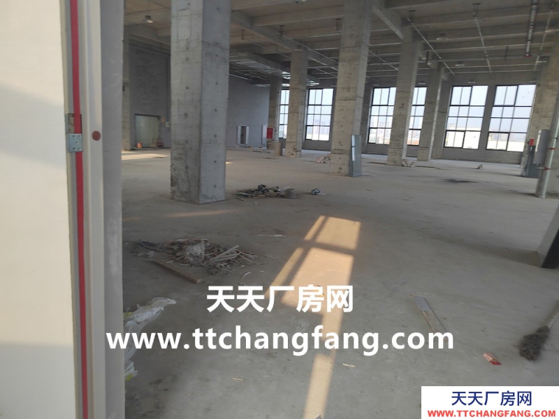 溫江全新食品標(biāo)準(zhǔn)廠房出租