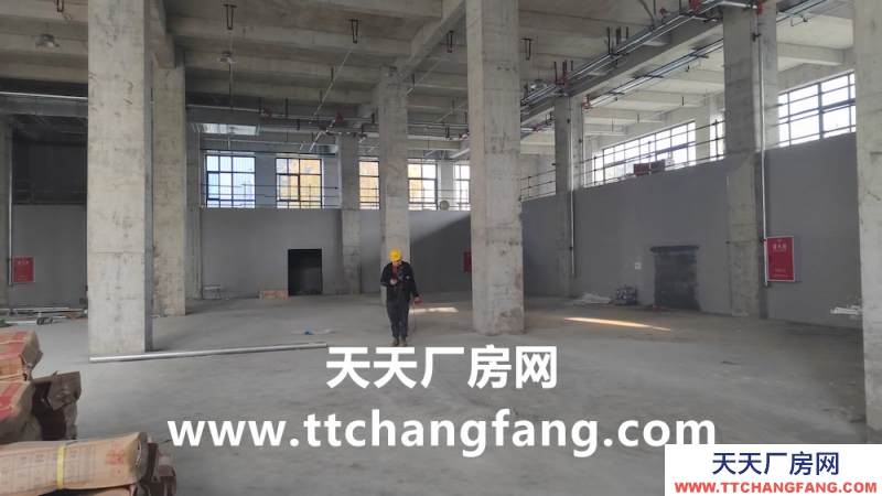 溫江全新食品標(biāo)準(zhǔn)廠房出租