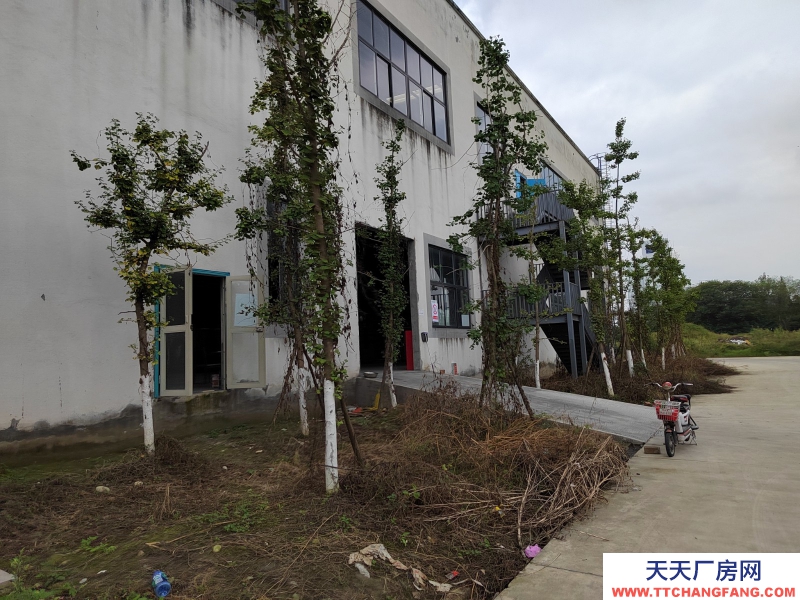 成都市新津區食品園區廠房出租3000-15000平米可分租