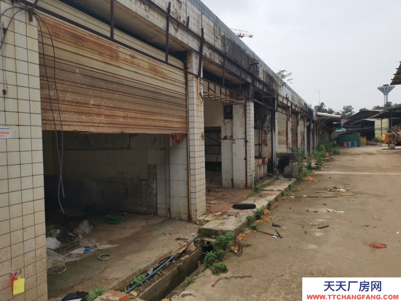 出租龍泉驛大面廠房、庫房、臨街鋪面