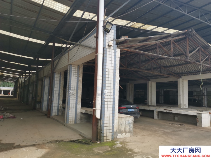 出租龍泉驛大面廠房、庫房、臨街鋪面