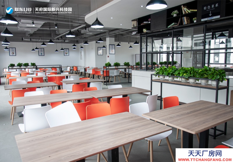 天府新區(qū)唯一可生產(chǎn)研發(fā)辦公廠房