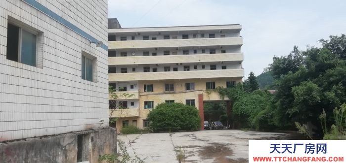 重慶涪陵蒿子壩臨街8000平米可分組