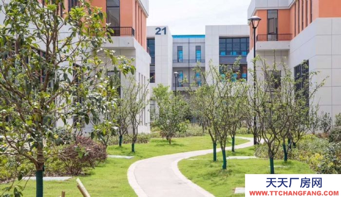 重慶標準獨棟別墅廠房出售