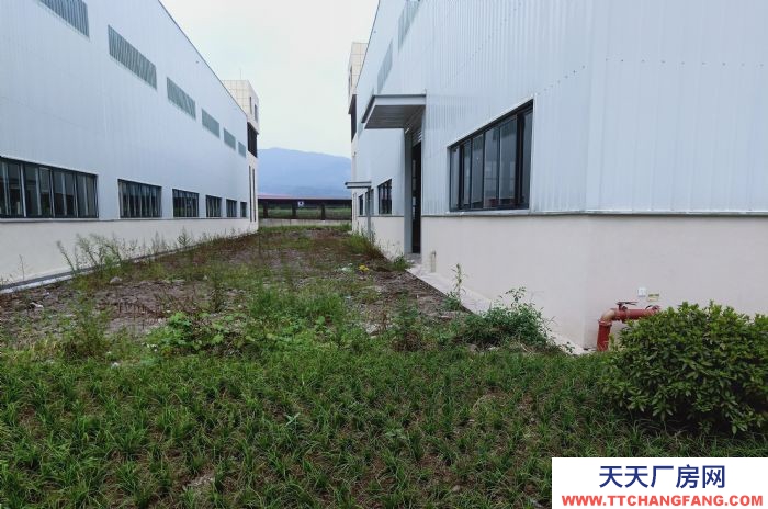 重慶凈高11米優質廠房?您發家的興旺之地