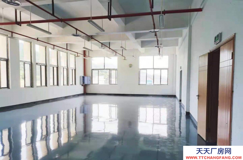 重慶大渡口建橋工業園C區旁廠房出租