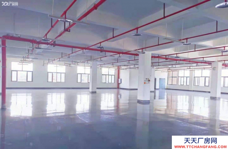 重慶大渡口建橋工業園C區旁廠房出租