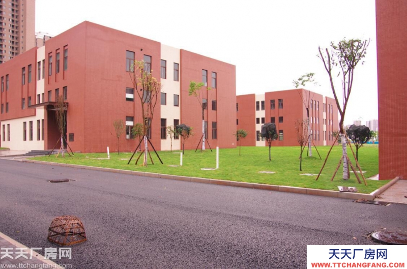 標準化廠房出售 ——獨立產權 送庭院