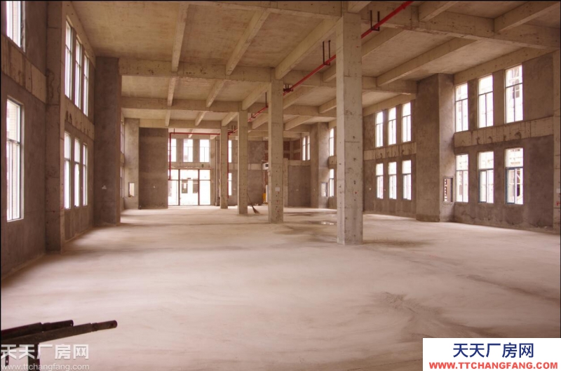 獨棟標準廠房出租售+50年產權+易按揭