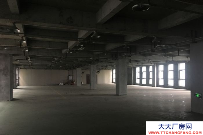 寸灘曙光園區(qū)標準獨立廠房出租，可用做倉庫或機加工