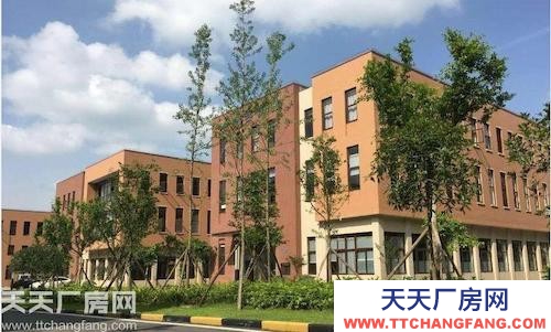 沙坪壩曾家單層 鋼結構 標準廠房出租