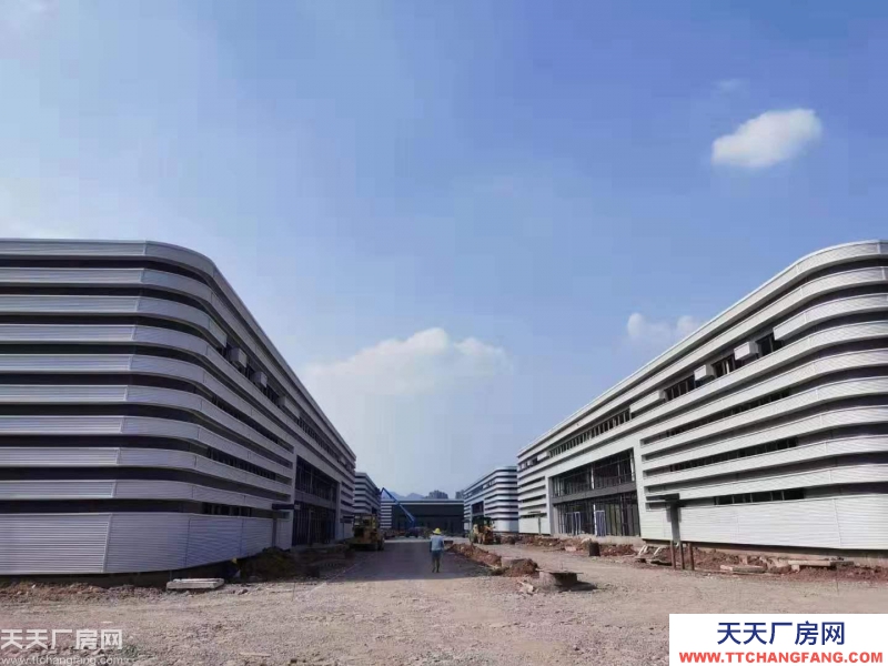 （出租）靈活小戶 獨立產權 1000㎡起 標準廠房