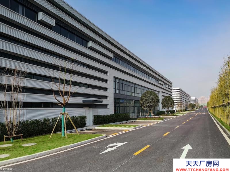 單層輕鋼11米層高，低租金