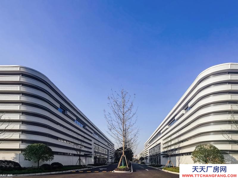 單層輕鋼11米層高，低租金