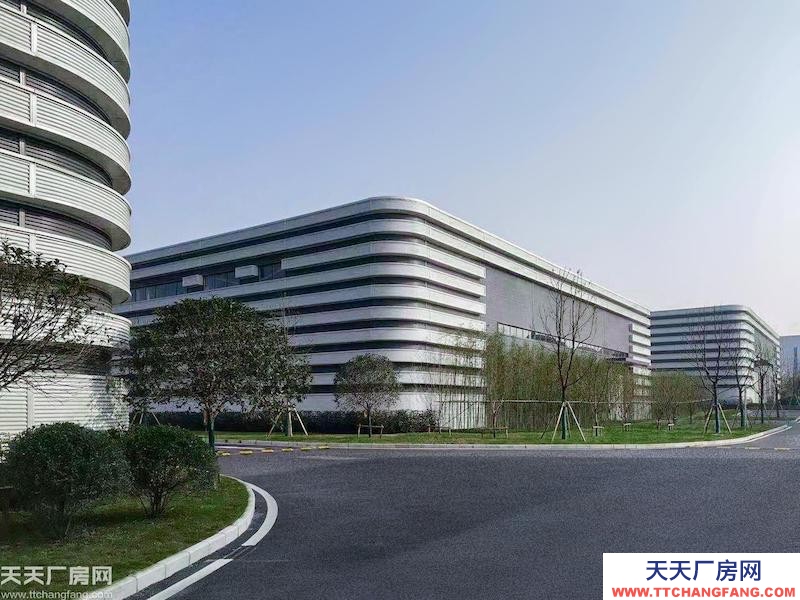 單層輕鋼11米層高，低租金