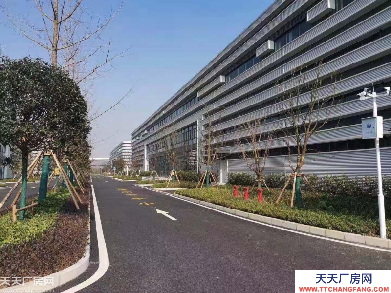 大學城僅有的正規廠房出租