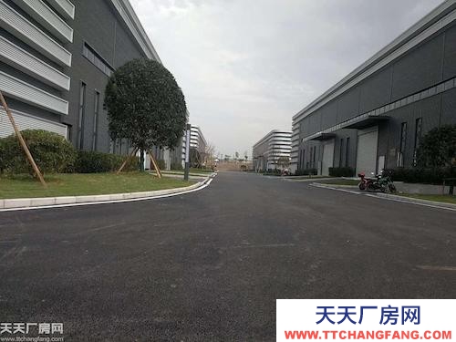 出租大學城曾家1600平單層鋼結構廠房