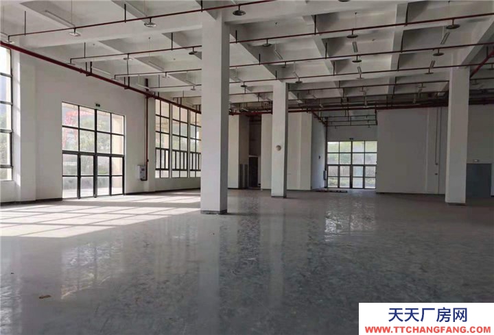 重慶九龍坡標(biāo)準(zhǔn)廠房出租，租金每平方16元，價(jià)格可談，可分租