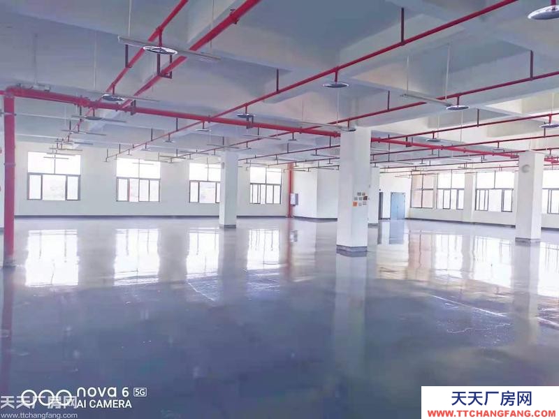 廠房、聯合辦公室出租，工位只需199,