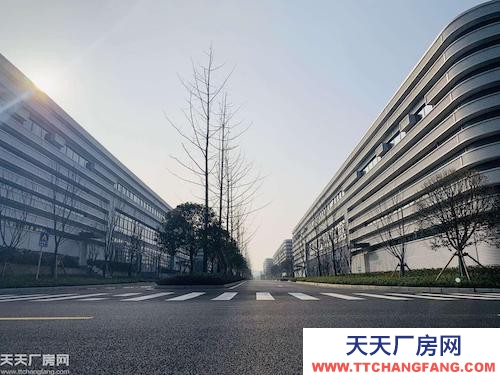 高新區優質單層鋼構/稀缺廠房?聯動招商?獨立產權