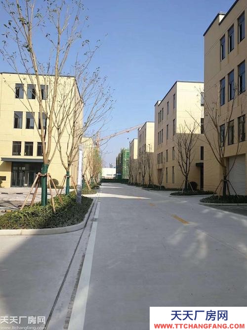 雙福全新標(biāo)準(zhǔn)廠(chǎng)房?靠英利五金機(jī)電城?可享政策?附贈(zèng)車(chē)位