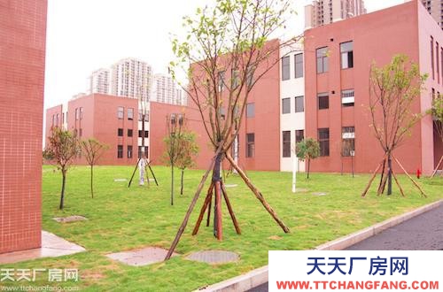 主城稀缺標準廠房租售（800平起）