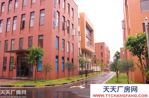 主城稀缺標準廠房租售（800平起）