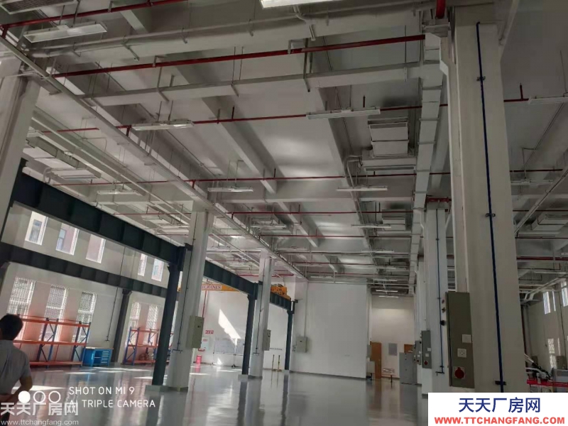 內環旁，獨棟標準廠房租售，1000平起