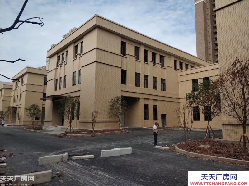 內環高速旁，聯東大品牌，獨棟標準廠房出售+50年產權