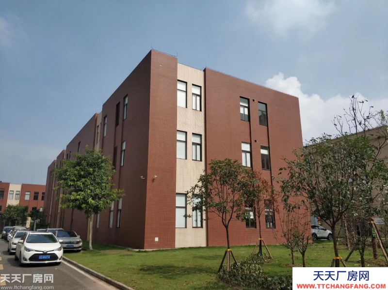 《出售標準框架廠房》{現房50年產權}