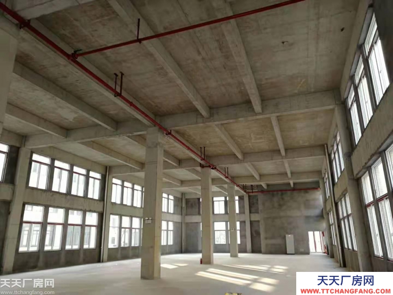 巴南界石，內(nèi)環(huán)邊上，獨(dú)棟標(biāo)準(zhǔn)廠房出售