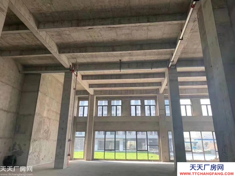 巴南界石，內環邊上，獨棟標準廠房出售