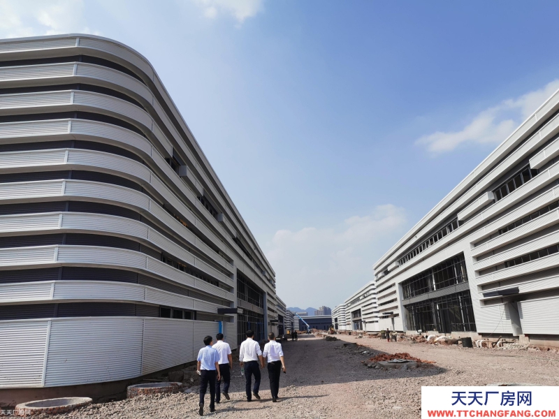 巴南界石，內環邊上，獨棟標準廠房出售