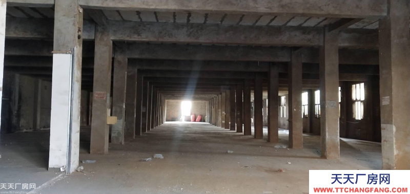 南岸區(qū)南山3600平米廠房出租