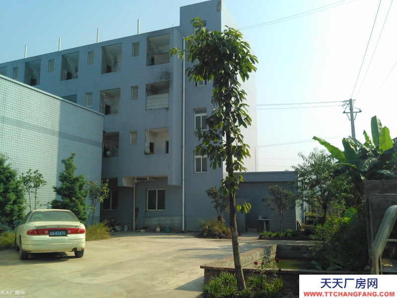 出租南岸茶園附近1200平方廠房