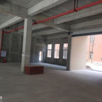 獨棟 50年產權 標準廠房出售可按揭