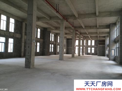 兩江新區高新開發區框架結構廠房?800平?8000平