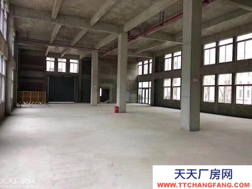 標準廠房 可租可售 支持按揭分期 配套成熟